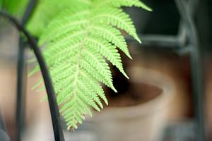 横浜で超大型！タカラスタンダード横浜ショールームの魅力と詳細情報